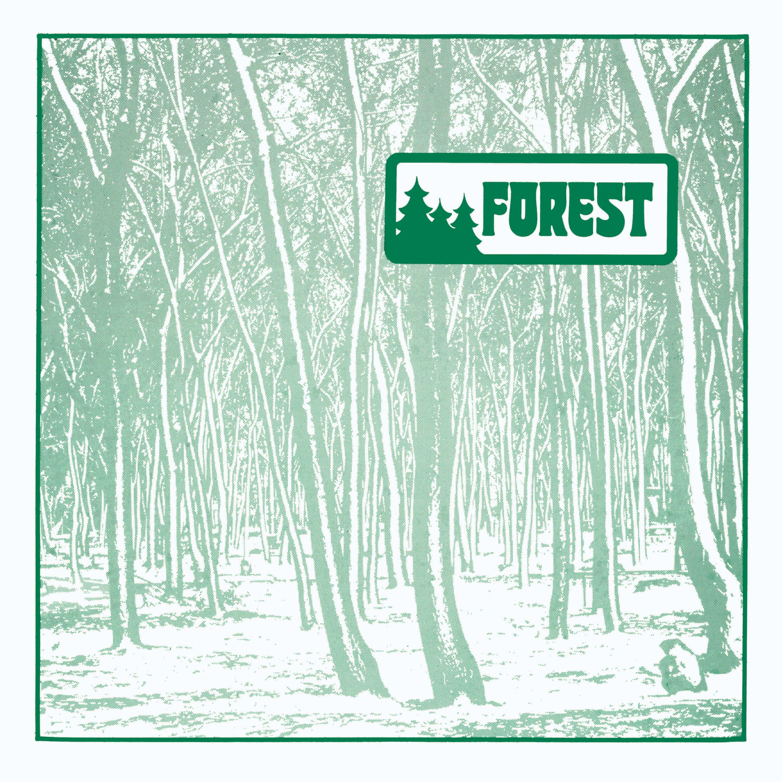 Long lost and much sought after Private Press from Western Massachusetts band Forest.