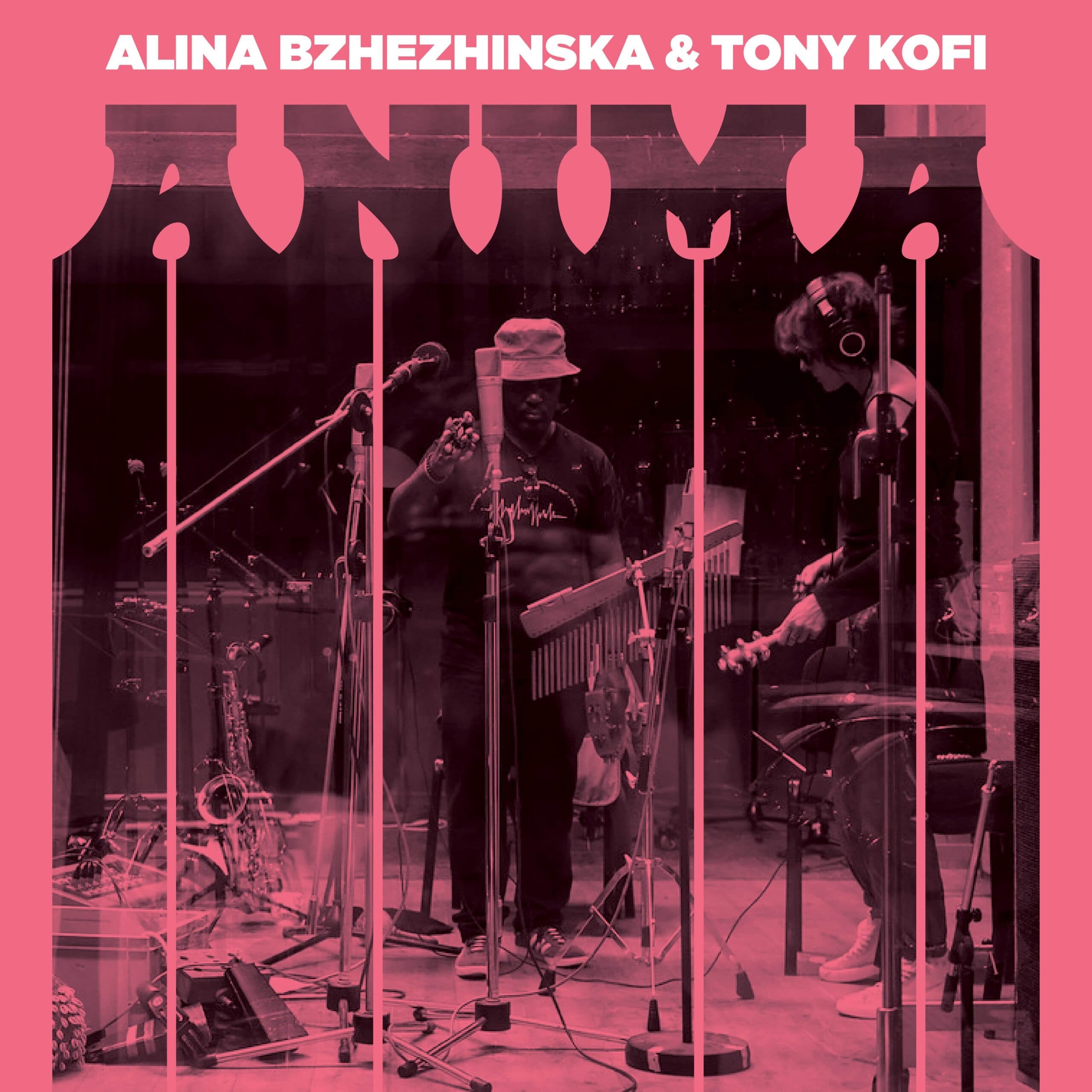 Anima by Alina Bzhezhinska, Tony Kofi