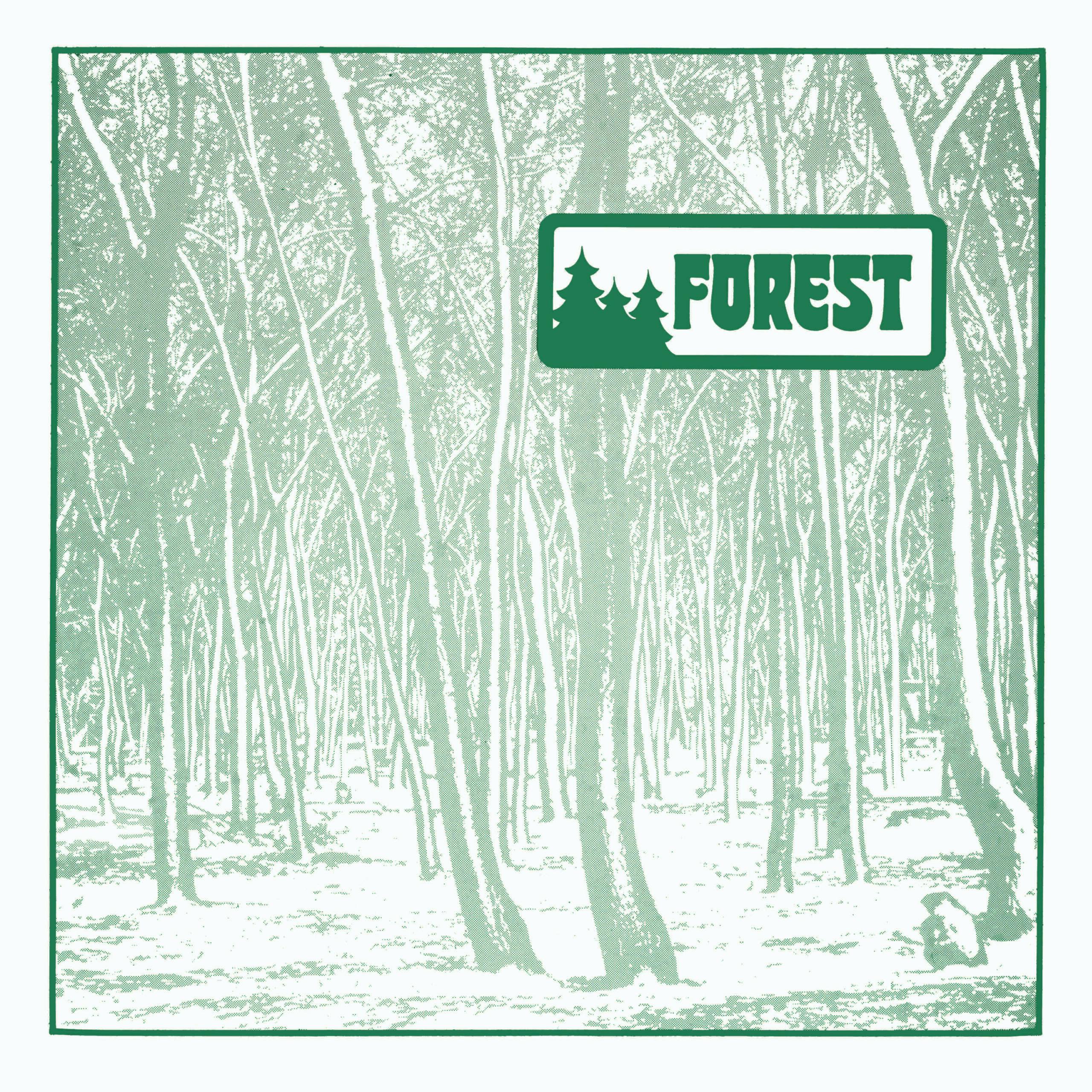 Long lost and much sought after Private Press from Western Massachusetts band Forest.